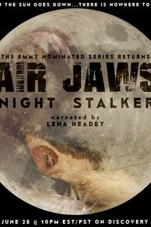 Profilový obrázek - Air Jaws: Night Stalker