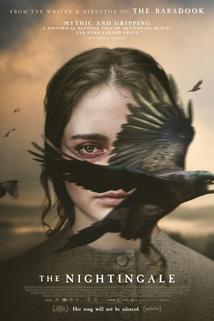 Profilový obrázek - The Nightingale