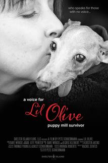 Profilový obrázek - A Voice for Lil Olive