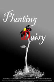 Planting Daisy