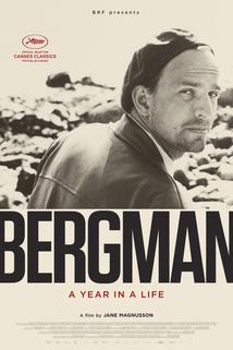 Profilový obrázek - Bergman