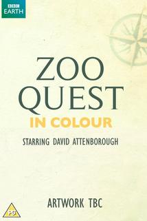 Profilový obrázek - Zoo Quest in Colour