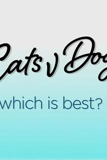Profilový obrázek - Cats v Dogs: Which Is Best?
