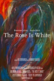 Profilový obrázek - The Rose Is White