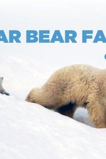 Profilový obrázek - The Polar Bear Family and Me