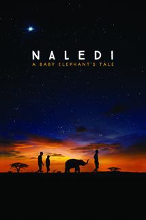 Profilový obrázek - Naledi: A Baby Elephant's Tale
