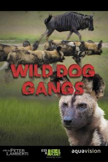 Profilový obrázek - Wild Dog Gangs