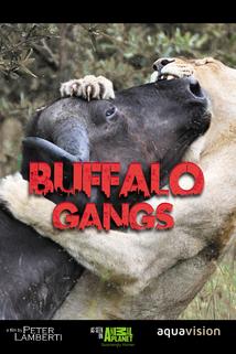 Profilový obrázek - Buffalo Gangs