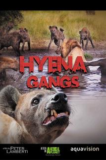Profilový obrázek - Hyena Gangs