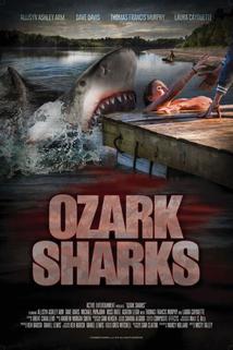 Profilový obrázek - Ozark Sharks