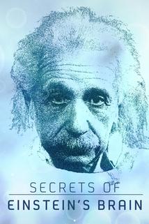 Profilový obrázek - Secrets of Einstein's Brain