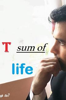 Profilový obrázek - The Net Sum of Life