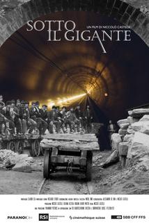 Profilový obrázek - Sotto il gigante