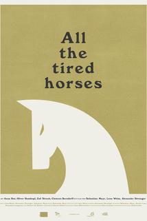 Profilový obrázek - All the Tired Horses