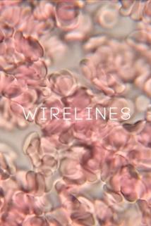 Profilový obrázek - WireLines