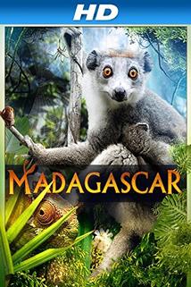 Profilový obrázek - Madagascar 3D