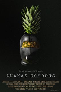Profilový obrázek - Ananas Comosus