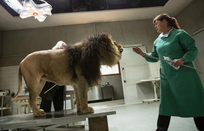 Foto: Zuzana Páchová / Česká televize