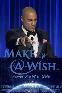 Profilový obrázek - Make a Wish Foundation Power of a Wish Gala Live from Cipriani Wall Street