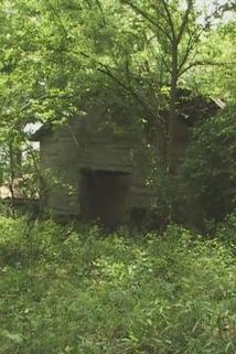 Profilový obrázek - Mississippi Homestead