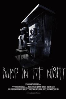 Profilový obrázek - Bump in the Night