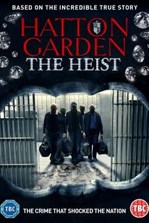 Profilový obrázek - Hatton Garden the Heist