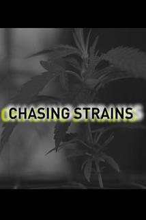 Profilový obrázek - Chasing Strains