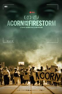 Acorn and the Firestorm  - Acorn and the Firestorm