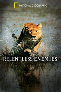Profilový obrázek - Relentless Enemies