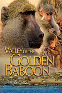 Profilový obrázek - Valley of the Golden Baboon