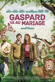 Profilový obrázek - Gaspard va au mariage