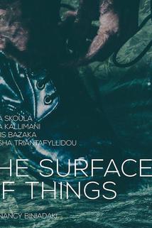 Profilový obrázek - The Surface of Things ()