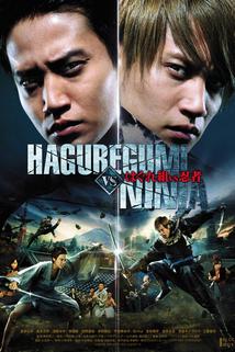 Haguregumi vs Ninja