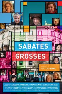 Profilový obrázek - Sabates grosses