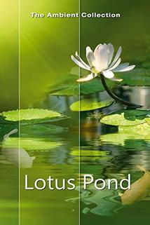 Profilový obrázek - The Lotus Pond
