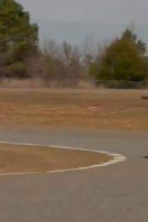 Profilový obrázek - Yamaha