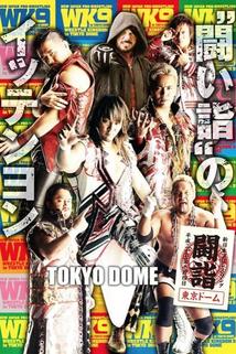 Profilový obrázek - NJPW Wrestle Kingdom 9