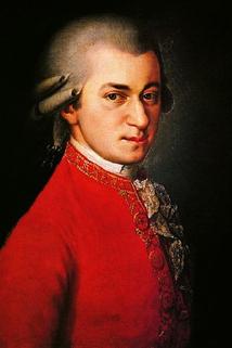 Profilový obrázek - The Joy of Mozart