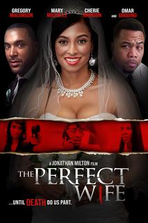 Profilový obrázek - The Perfect Wife