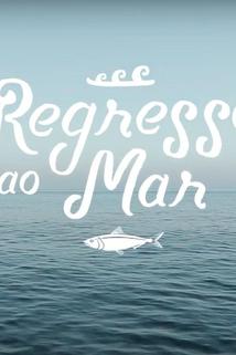 Profilový obrázek - Regresso Ao Mar