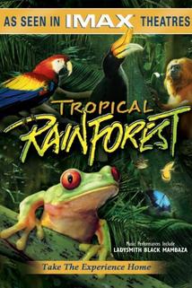 Profilový obrázek - Tropický deštný prales
