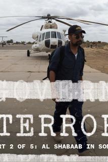 Profilový obrázek - The Rise of al Shabaab in Somalia