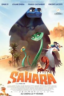 Profilový obrázek - Sahara