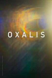 Profilový obrázek - Oxalis