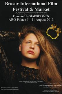 Profilový obrázek - Brasov International Film Festival & Market 2013