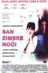 Sen zimní noci (2004)