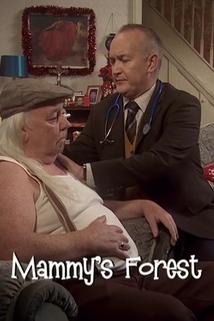 Mrs. Brown's Boys - Mammy's Forest  - Mammy's Forest