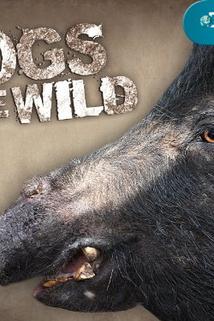 Profilový obrázek - Wild Hog War