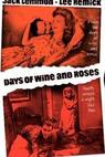 Dny vína a růží 