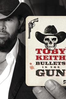 Profilový obrázek - Toby Keith: Bullets in the Gun
